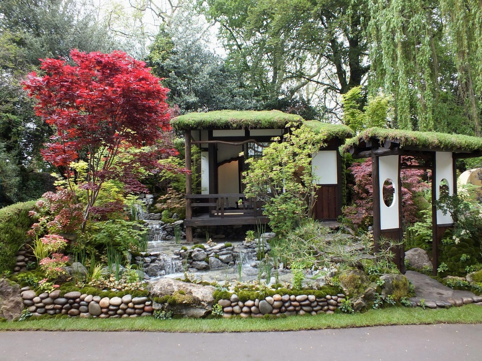 the diligent gardener: chelsea 2013: stunning japanese garden at