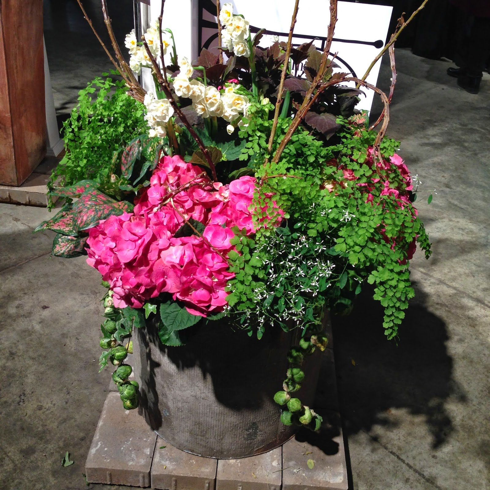designsandevents: a boston flower & garden show 2015 review