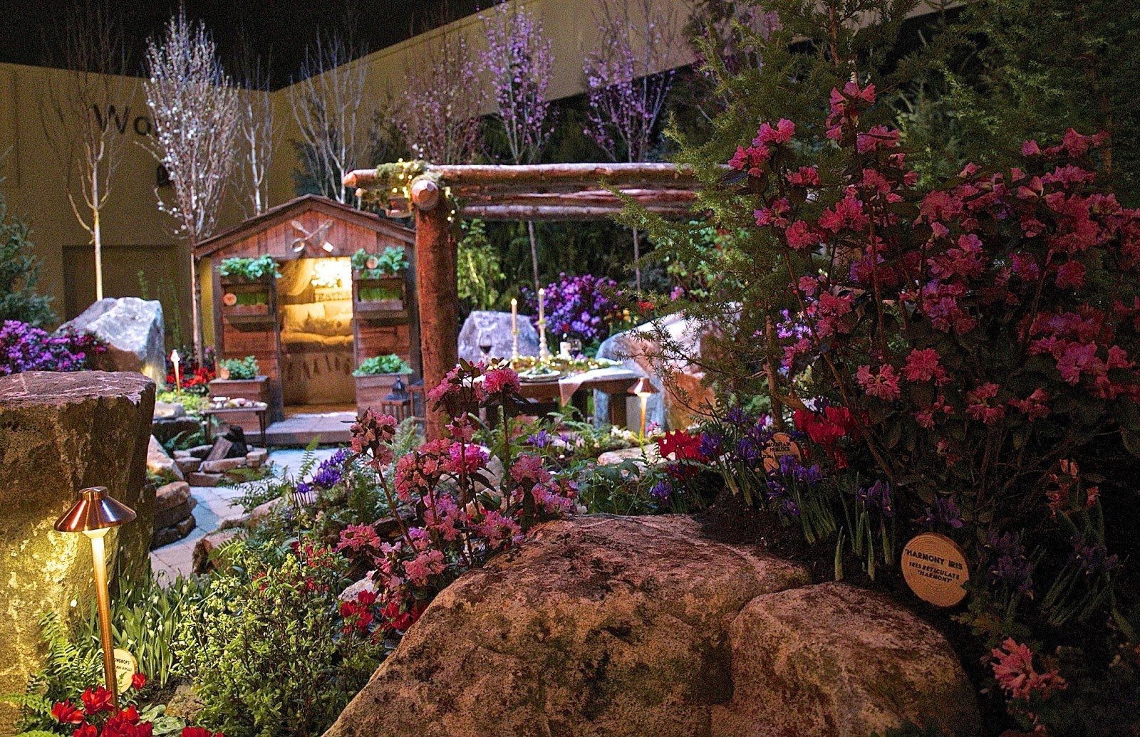 shoreline area news: photos: nw flower & garden show
