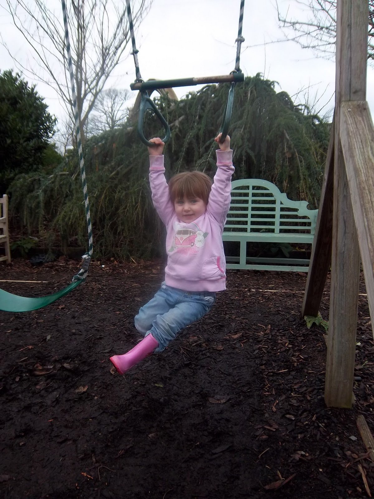 arrianna's special: derwen garden centre, welshpool