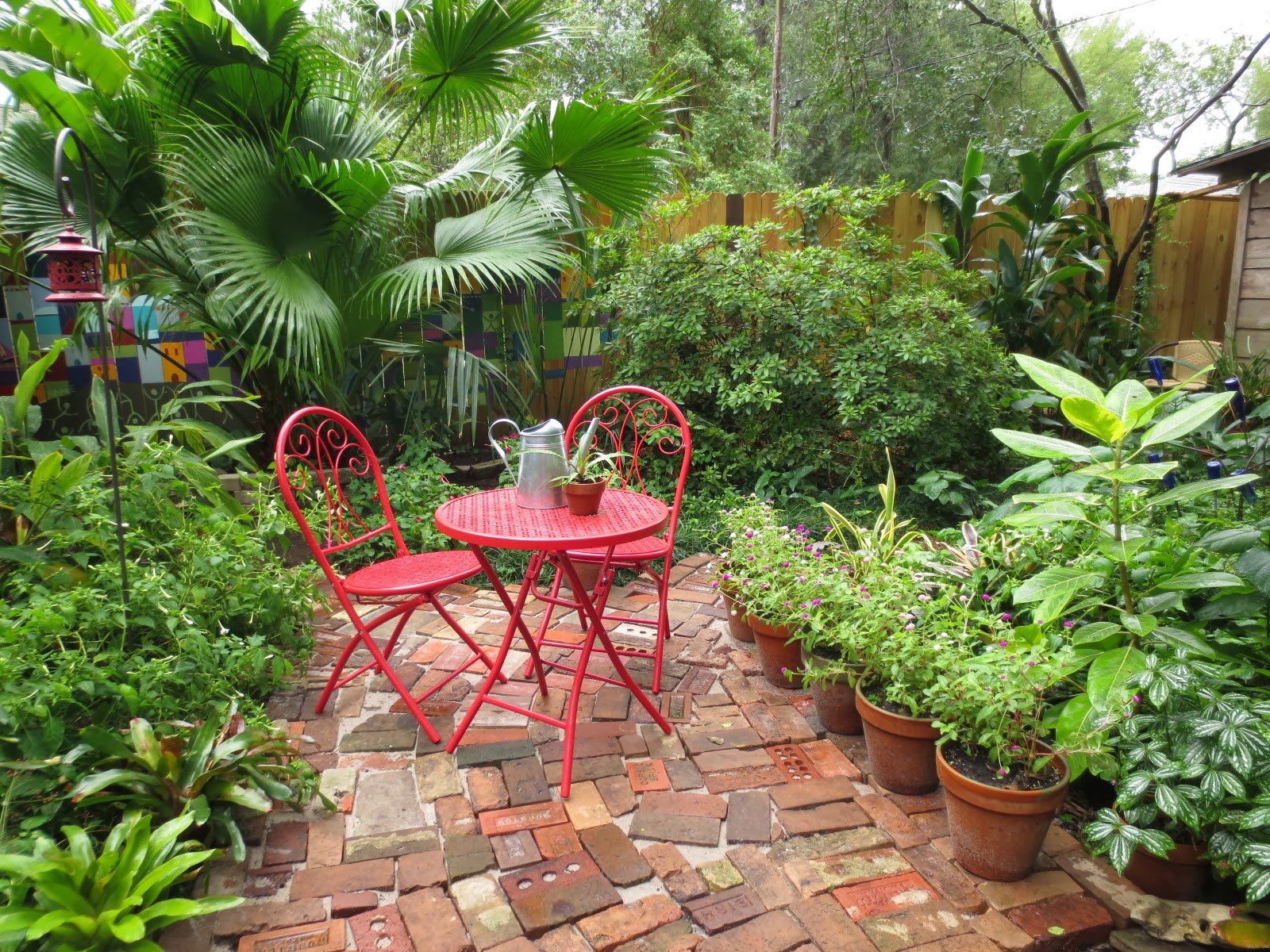 tropical texana: ten garden surprises from this past year