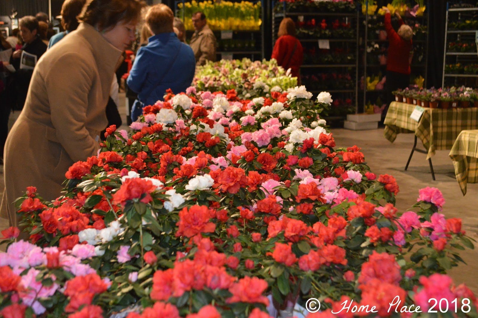 home place: 2018 connecticut flower and garden show - in hartford ct