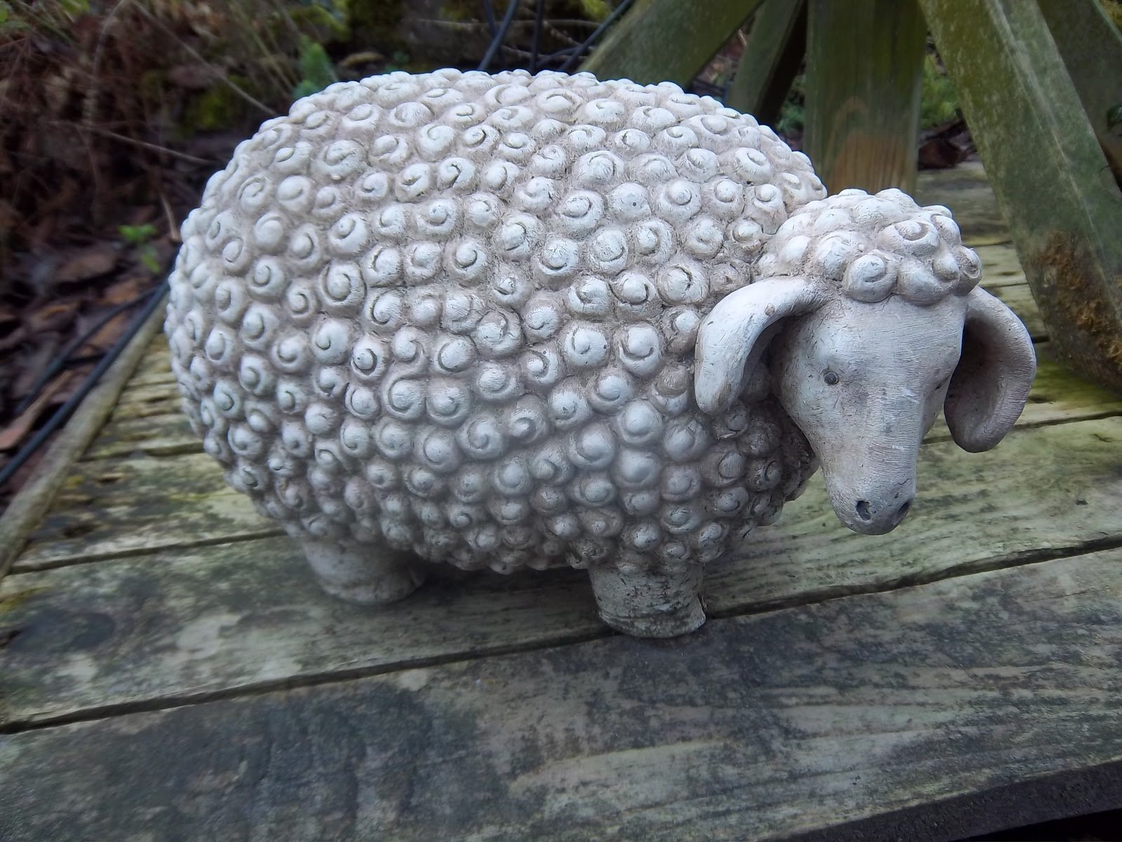arrianna's special: derwen garden centre, welshpool