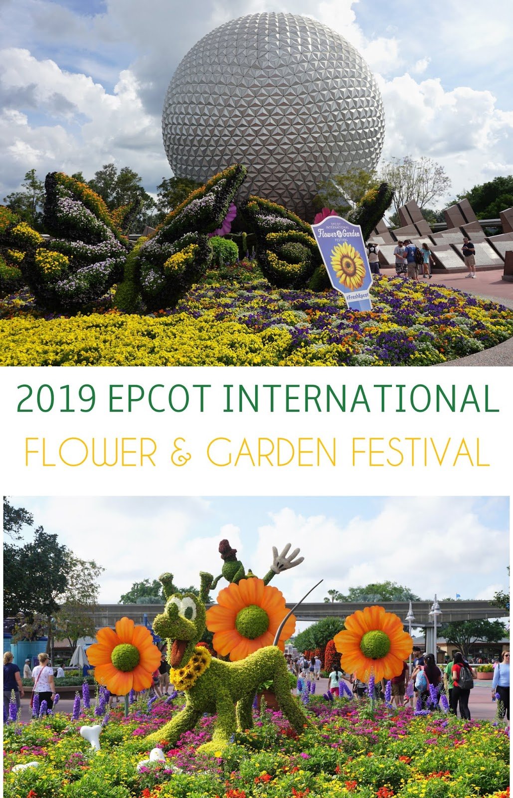 crafty and wanderfull life: 2019 epcot international flower & garden
