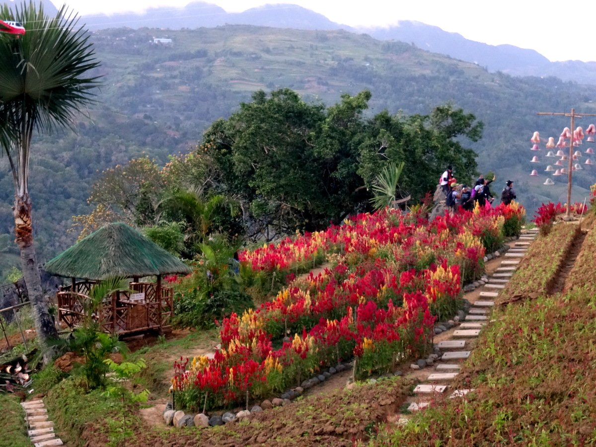 cebu, philippines: marco polo views & visiting sirao flower farm