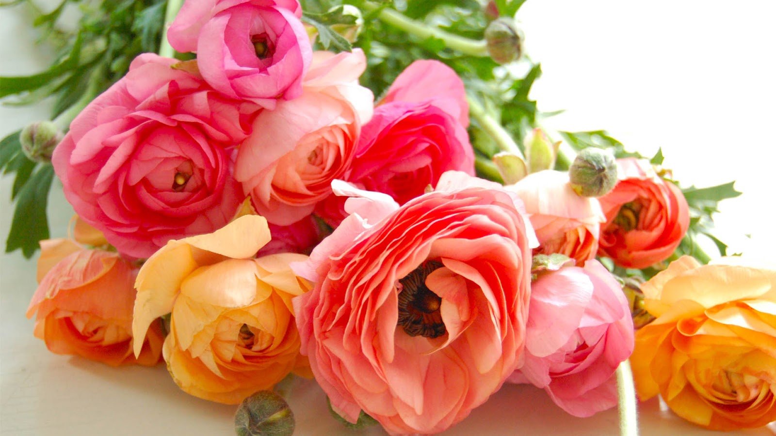 19 unique flower bouquet jalandhar