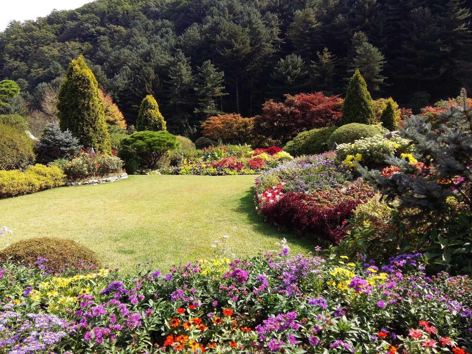 the garden of morning calm, beautiful beyond your imagination