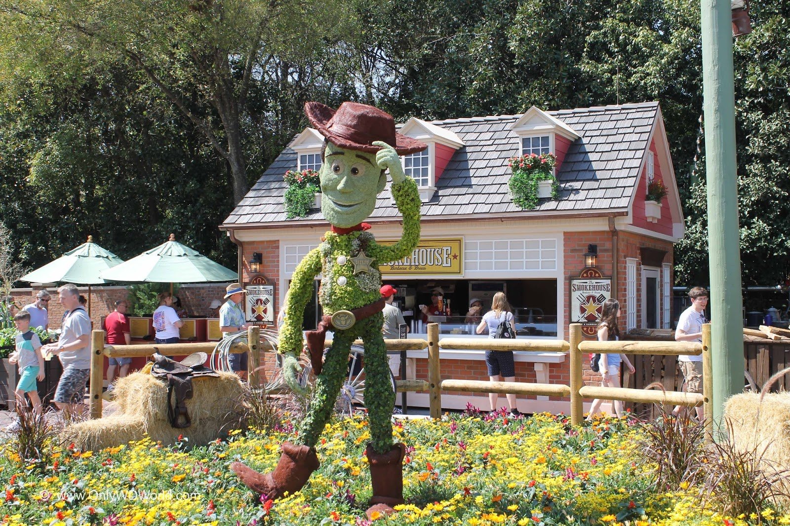 disney world blog discussing parks, resorts, discounts and dining