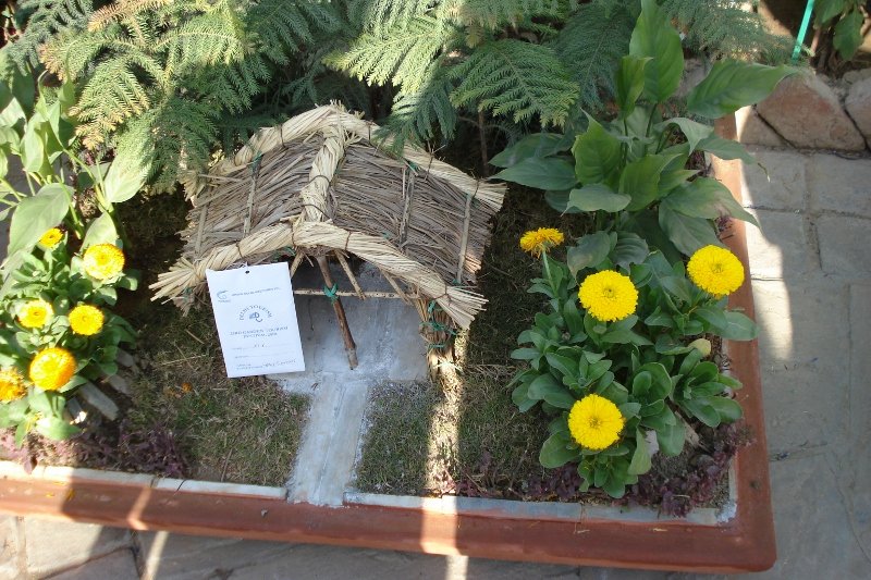 tray gardens for balconies | bonsais-plants as gifts-landscaping