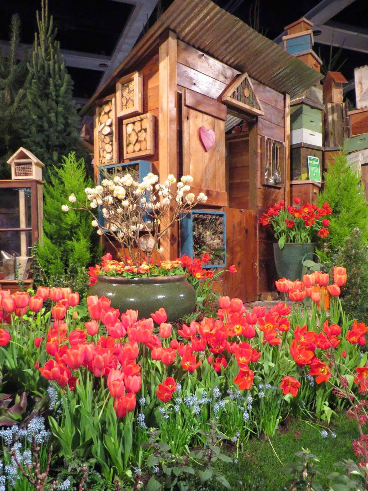 the northwest flower and garden show: seattle