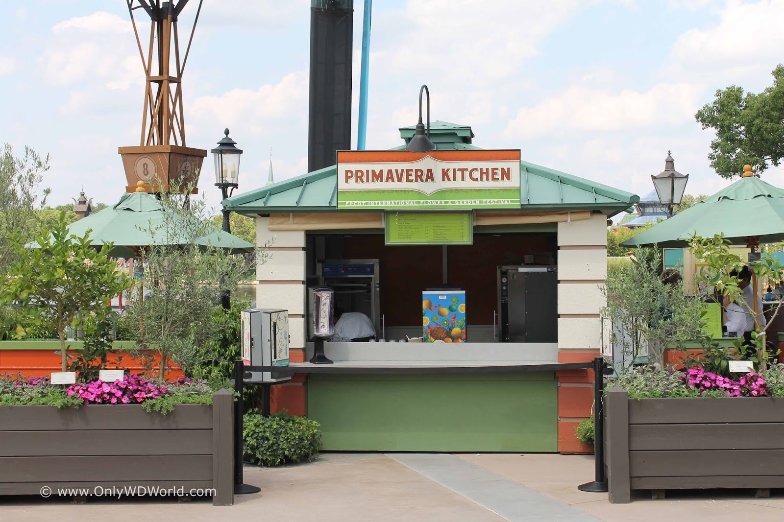 disney world blog discussing parks, resorts, discounts and dining