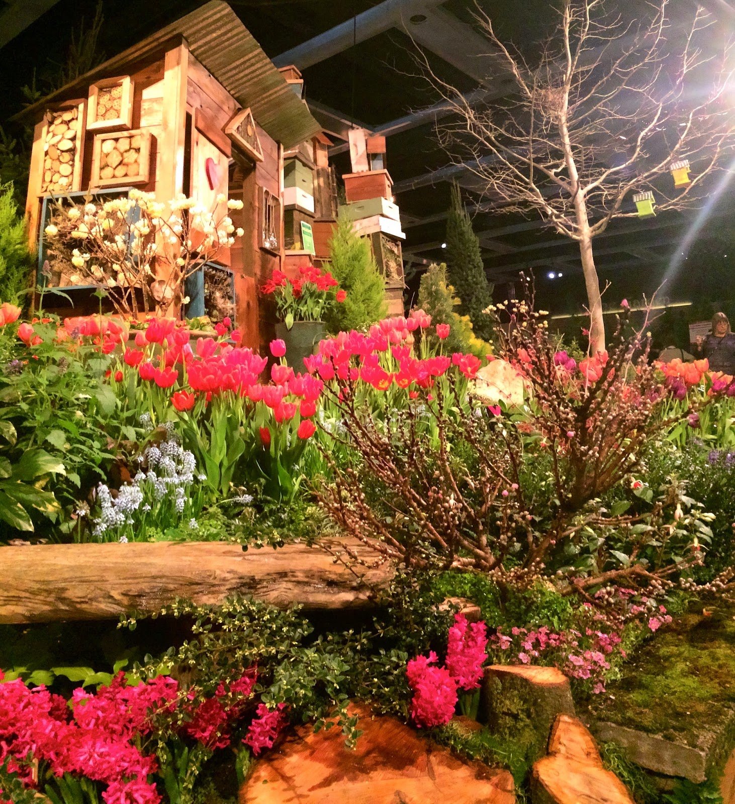 growing steady: the 2015 northwest flower & garden show