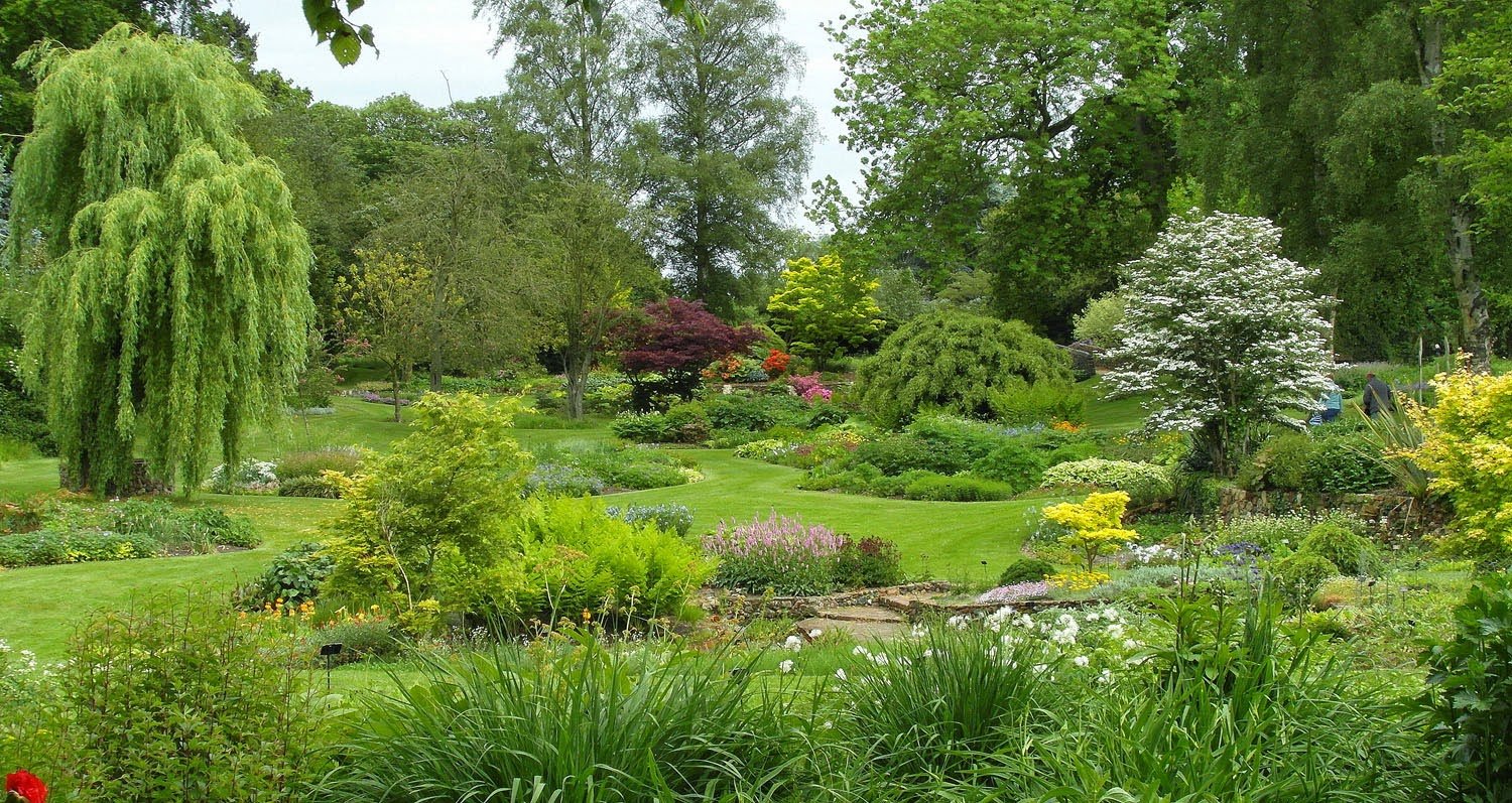 garden fancy: island beds and bressingham gardens