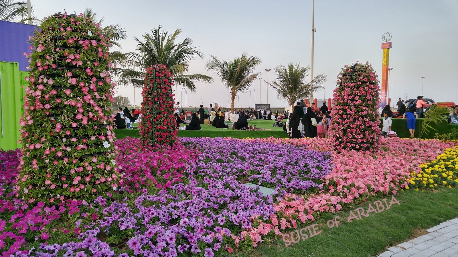susie of arabia: yanbu flower festival 2018