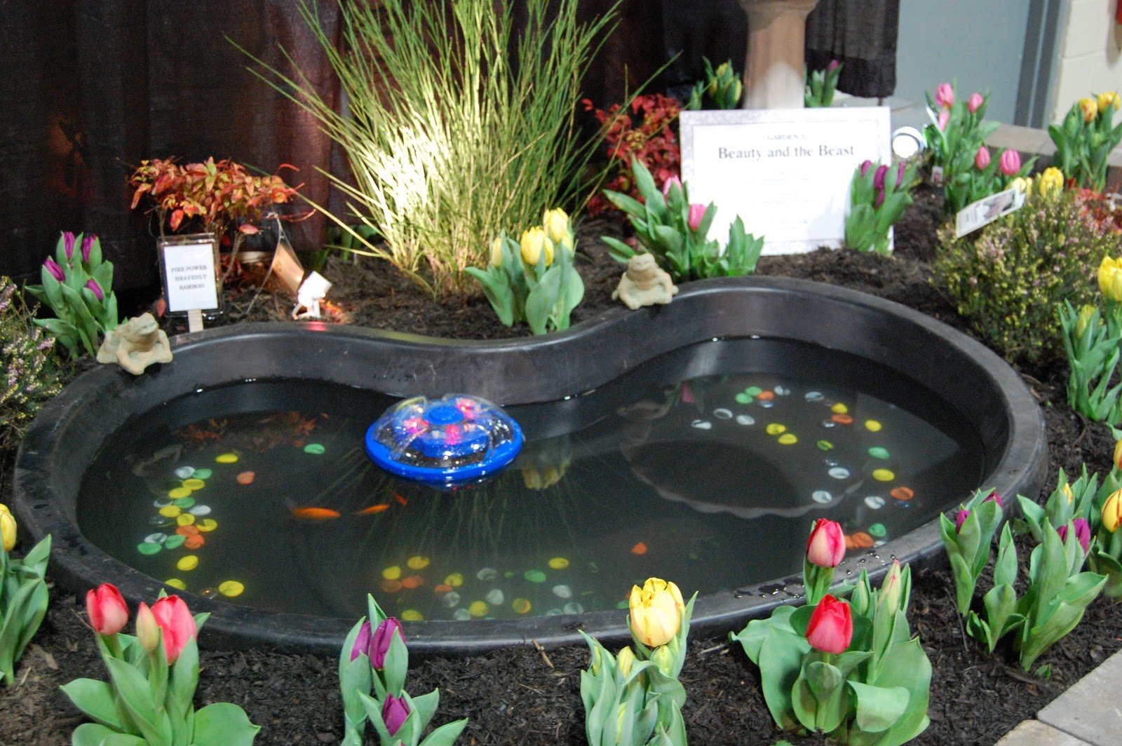 a photographer's garden: nj flower & garden show