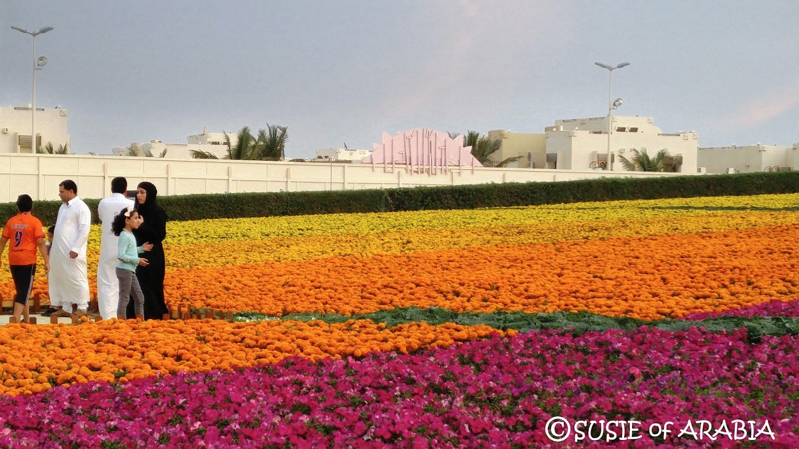 susie of arabia: yanbu flower festival 2016