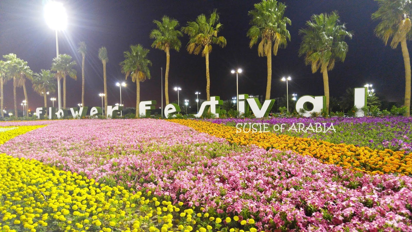 susie of arabia: yanbu flower festival 2018