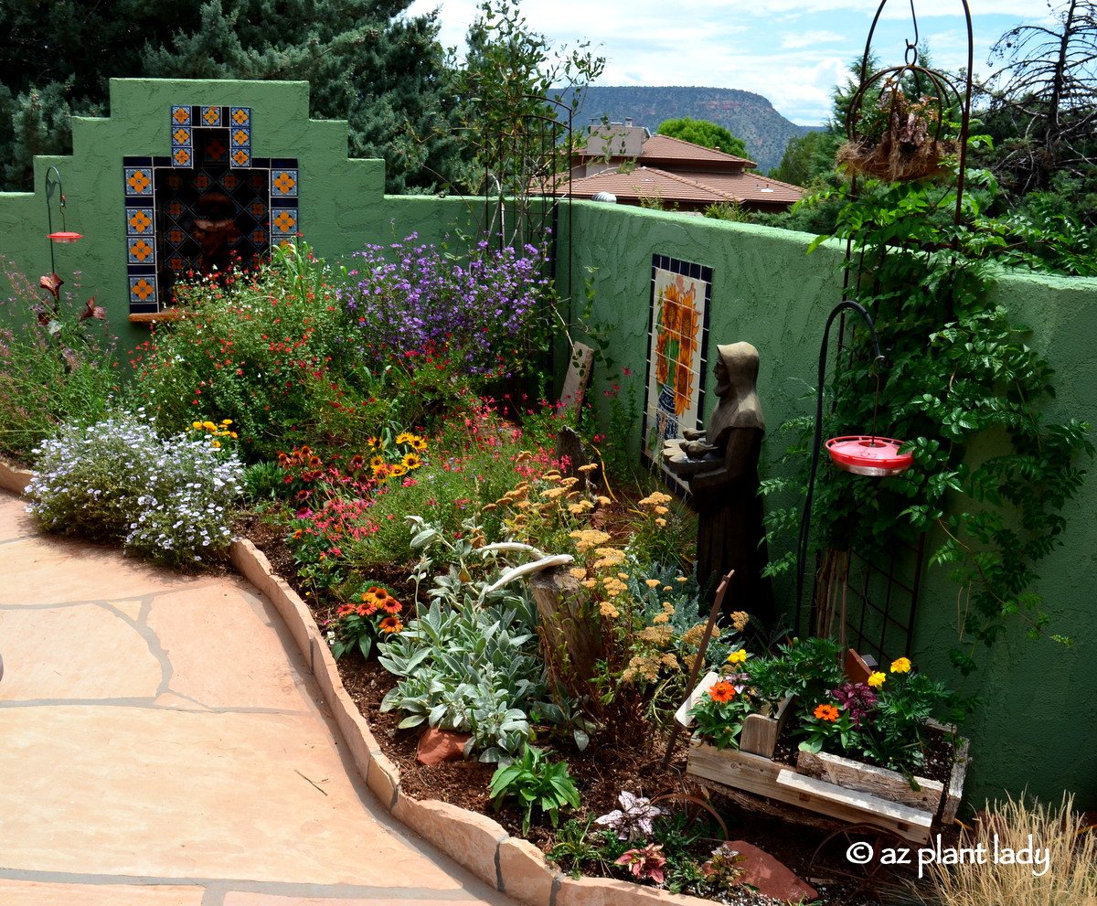 small space garden: hummingbird paradise - ramblings from a desert