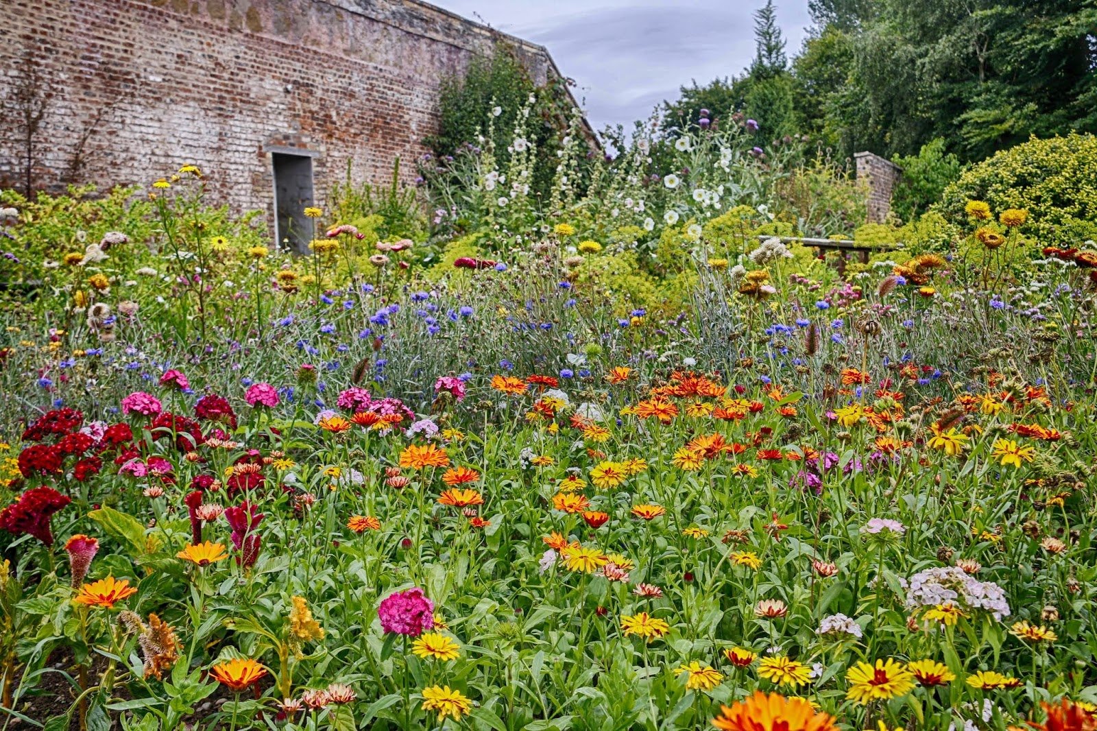 jibberjabberuk: priorwood garden