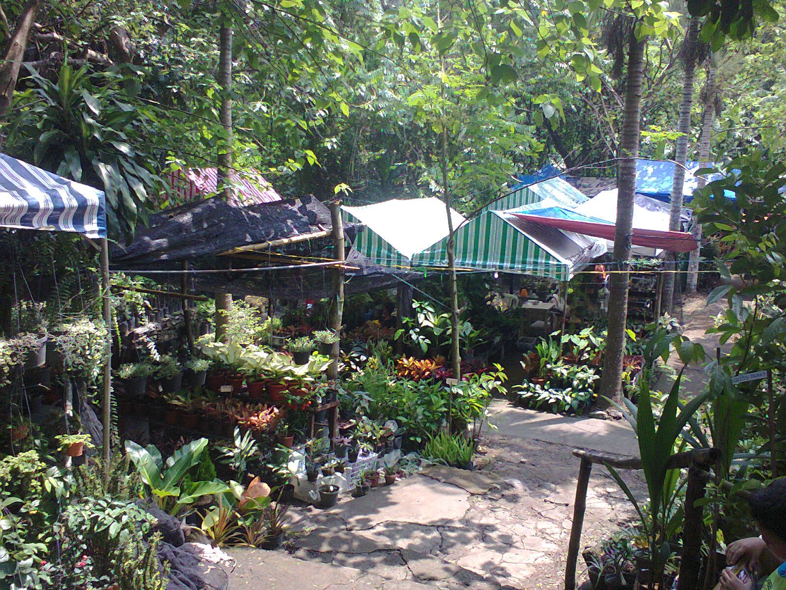 flower and garden show - october 5-14, 2018