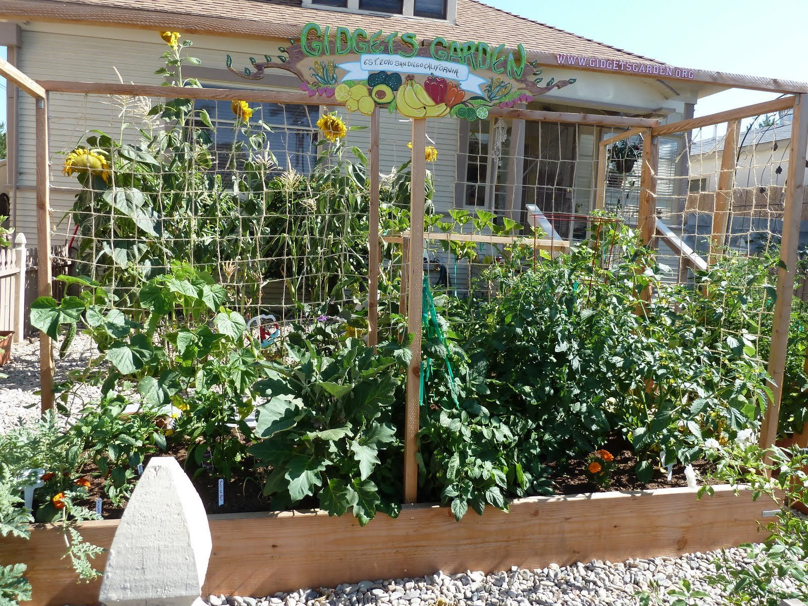 small space vegatable gardening - home decoration ideas