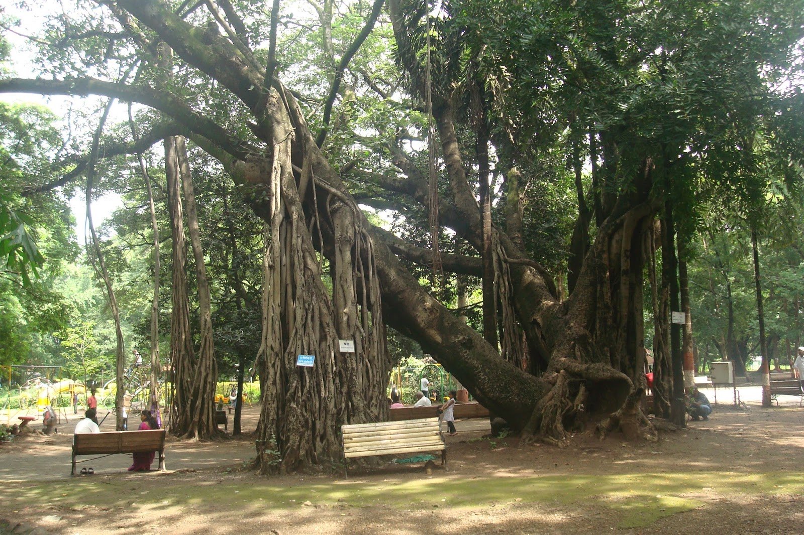empress botanical garden in pune,maharashtra india - free post 4 u