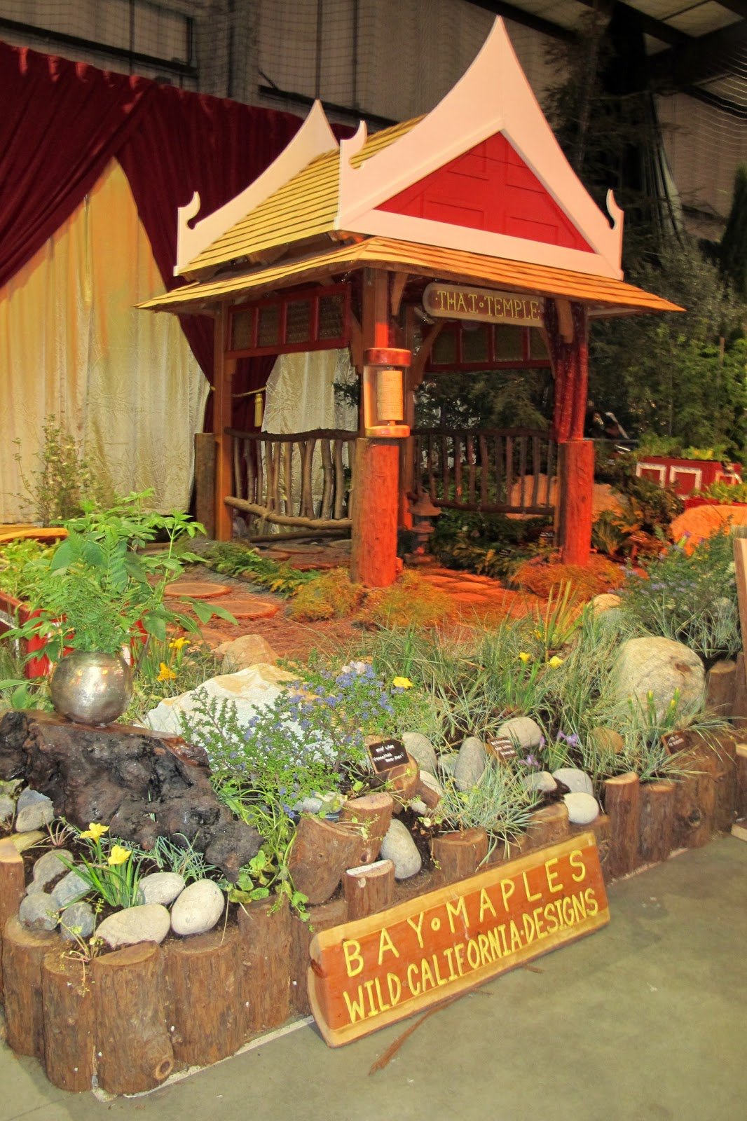 an alameda garden: scenes from the 2013 san francisco flower