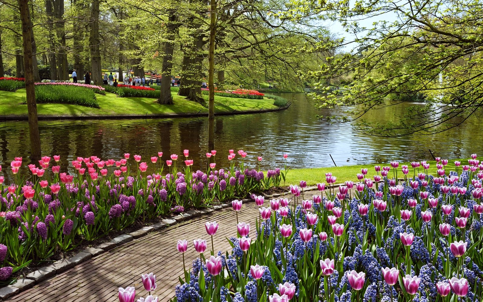 free download beautiful summer garden wallpapers hd desktop and