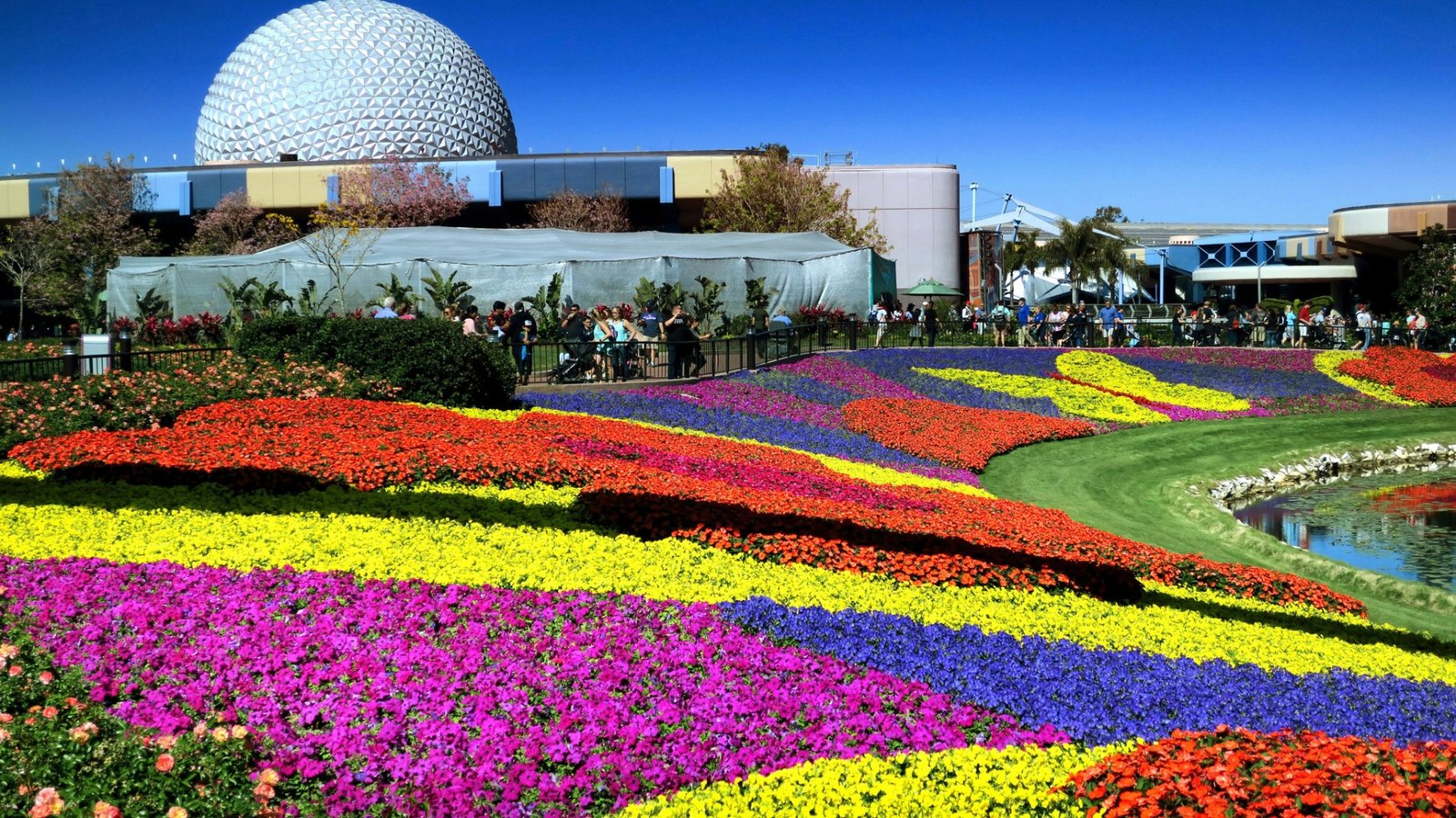 strolling — and nibbling — through epcot international flower