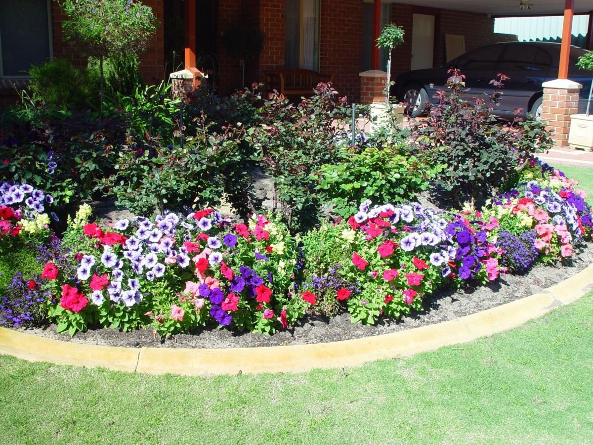 how to take care of flower plants in your garden | dengarden