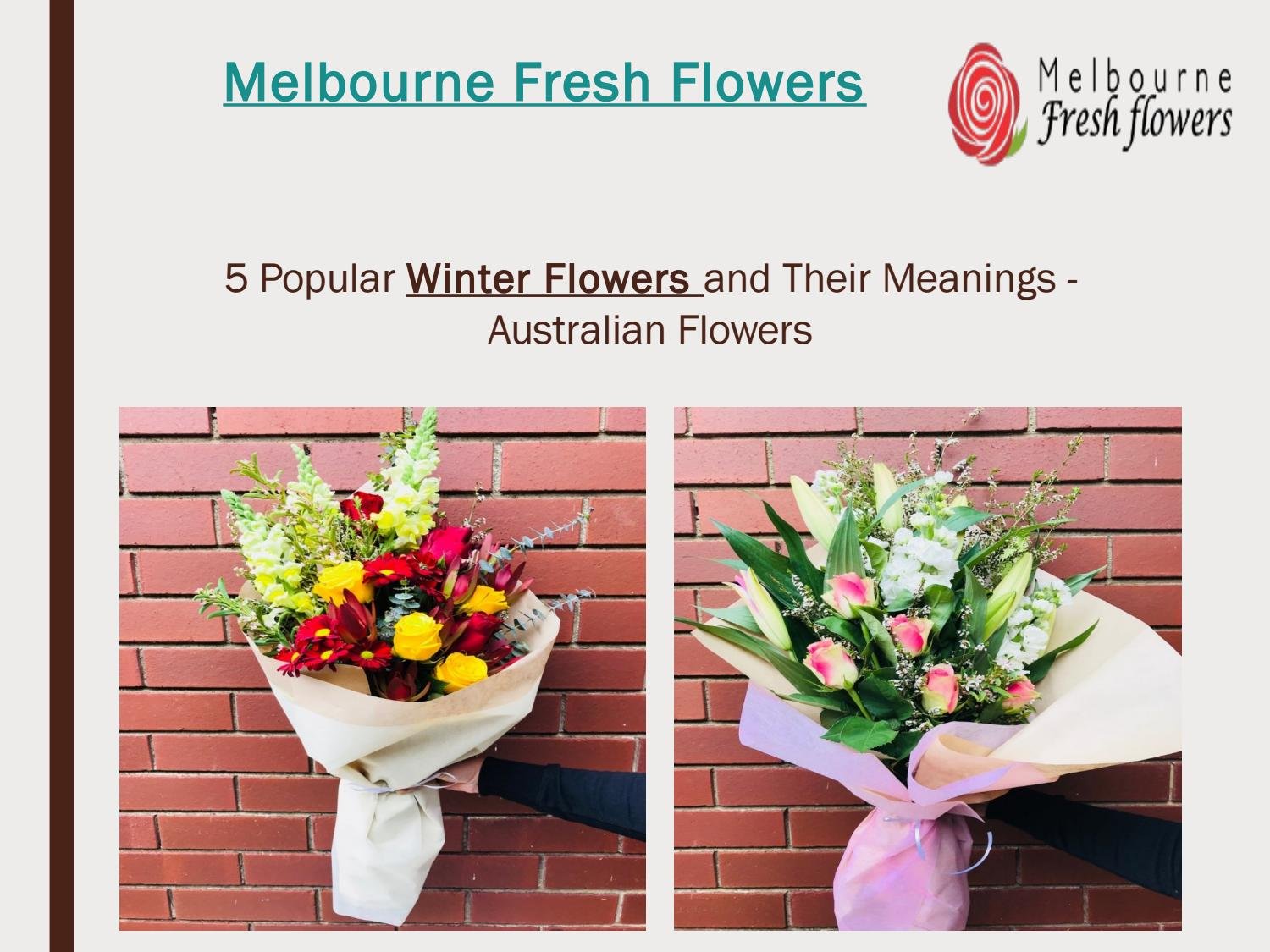 winter flowers in australia and their meanings – melbourne fresh