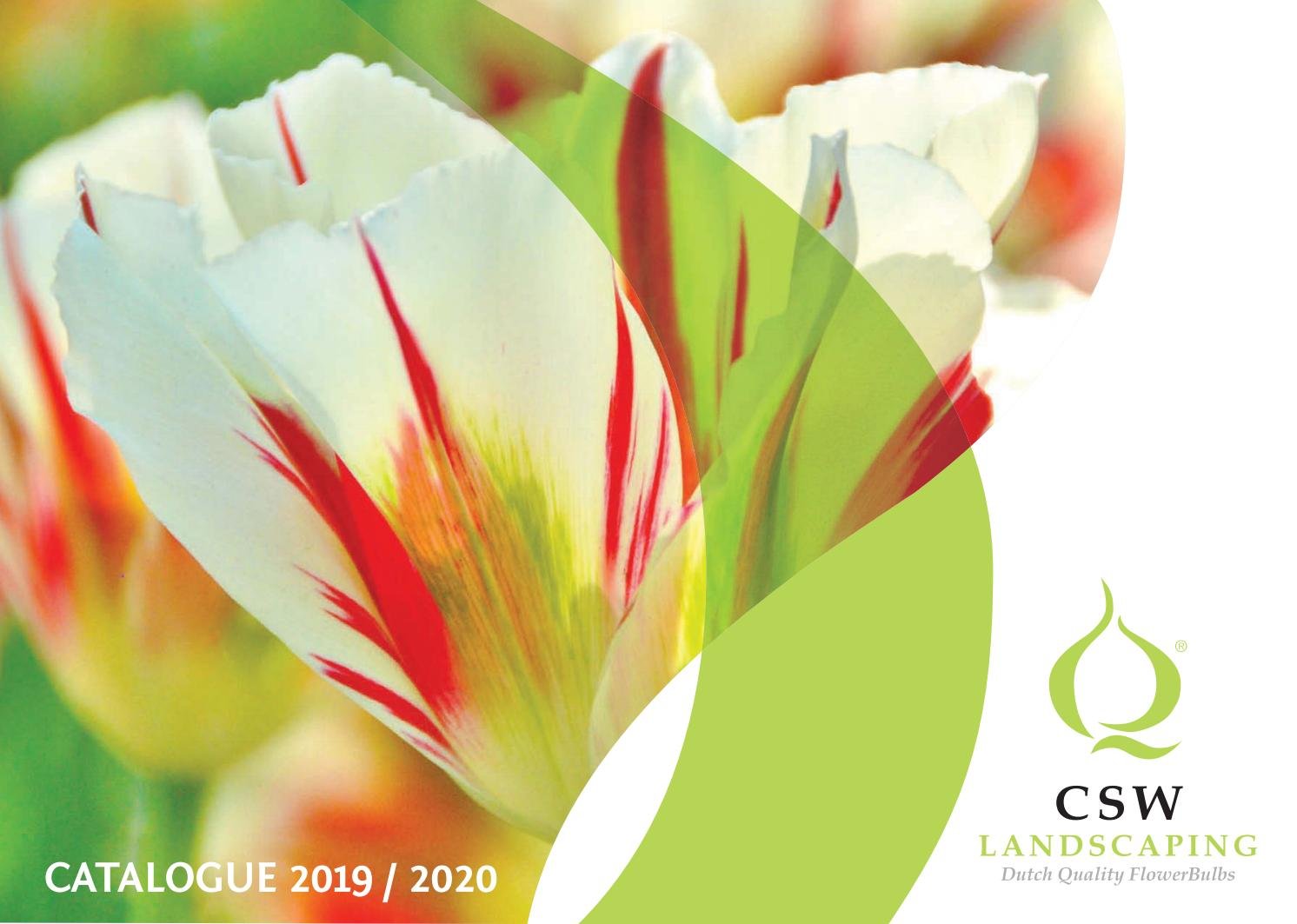 blomsterløk katalog 2019/2020 by kari-anne berget - issuu