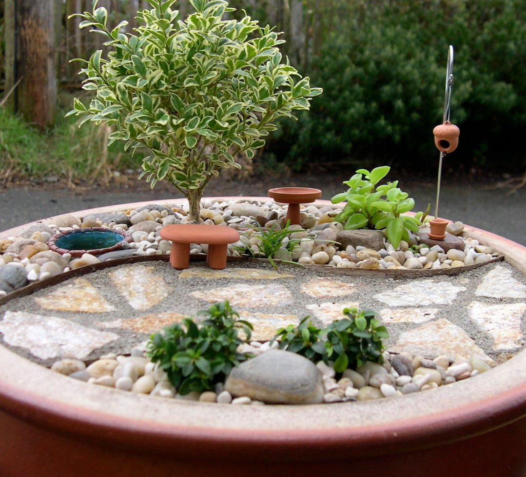 indoor miniature garden – the mini garden guru