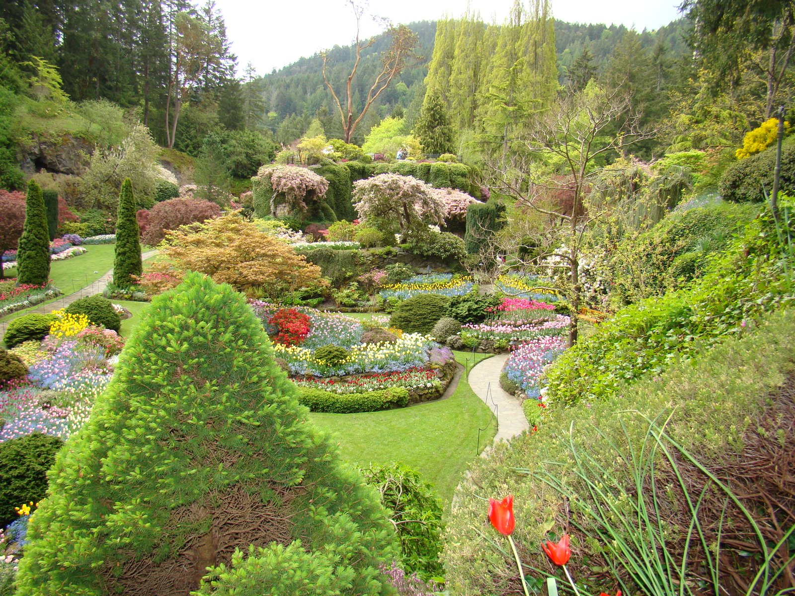 butchart gardens – victoria b.c. | making history tart & titillating