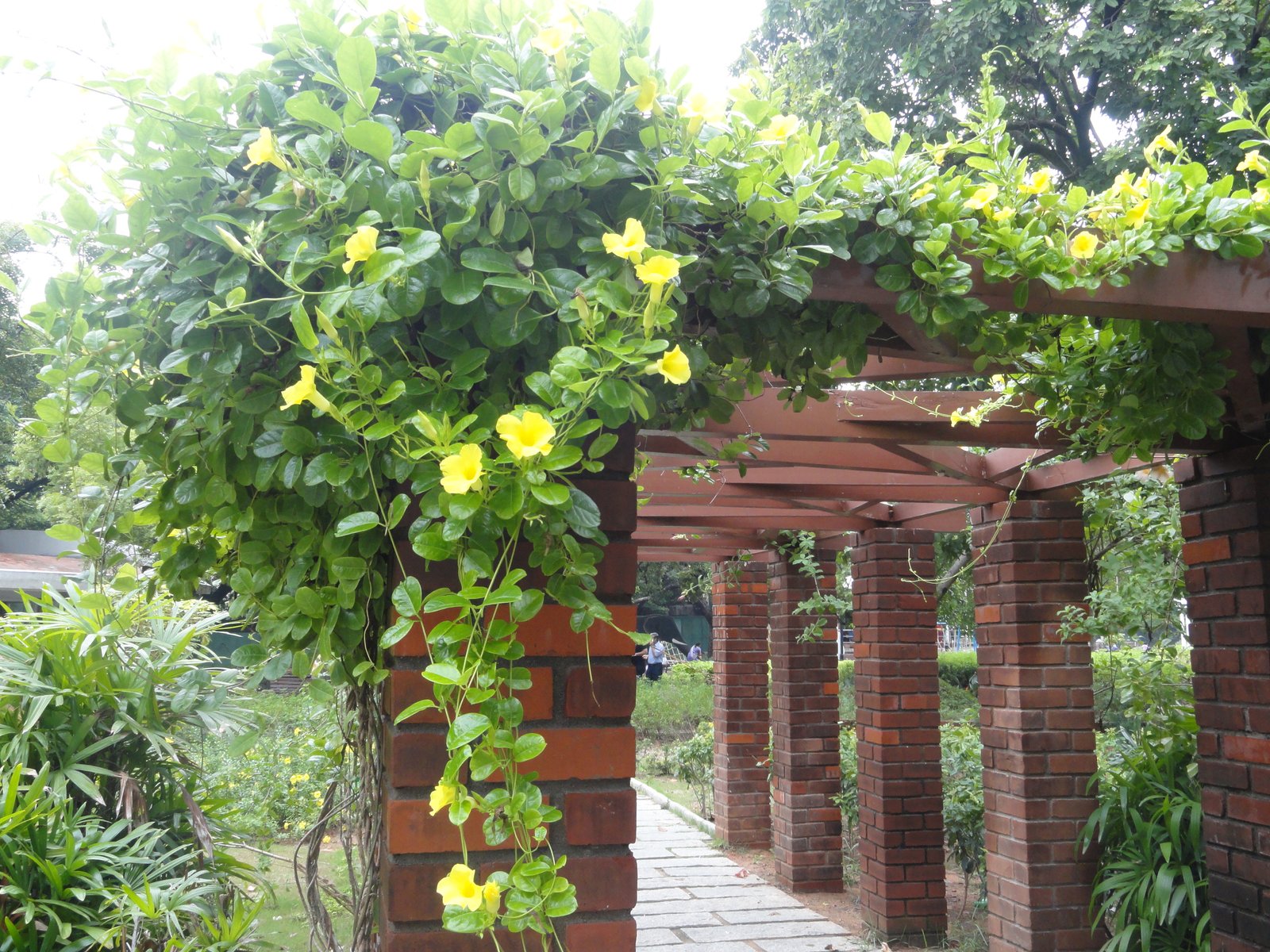 our world tuesday/botanical garden in chennai | terra farmer