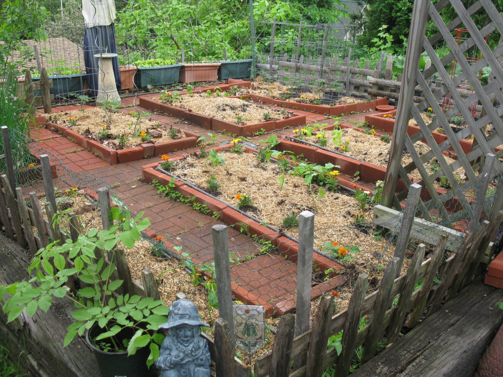 small space vegetable gardening in new england | dream new england