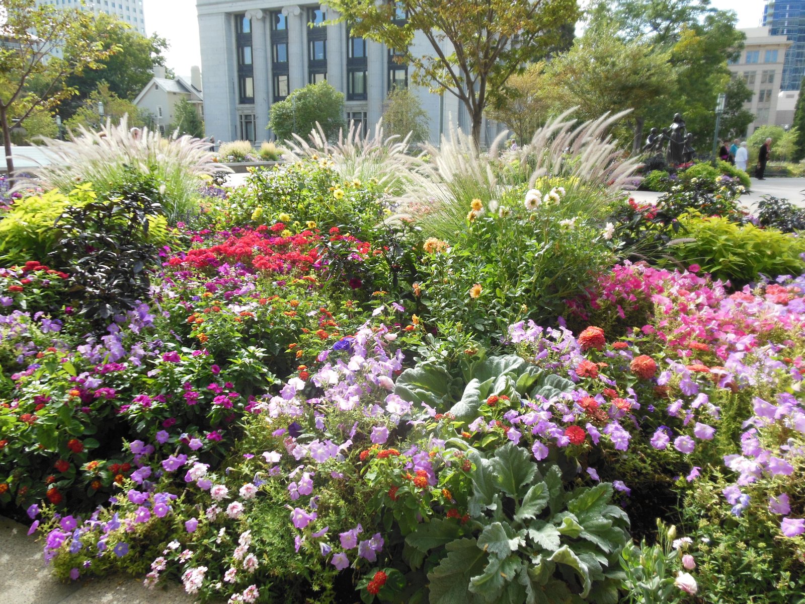 english cottage gardens, rooftop gardens, colorful “tossed” beds and