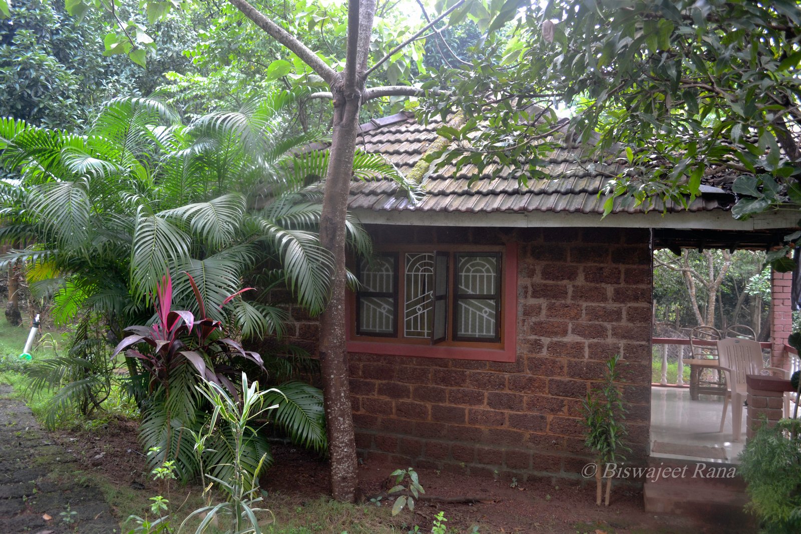 om beach | ~~biswajeet's blog~~