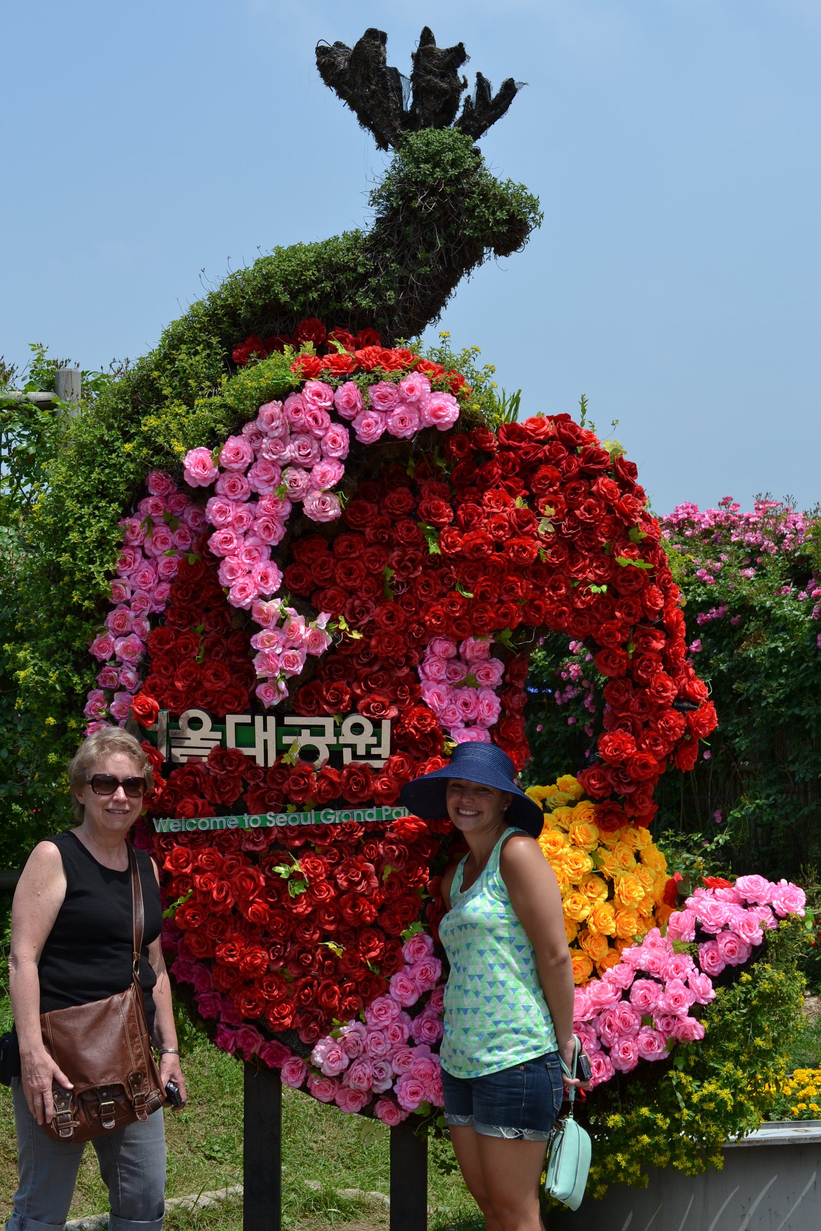 petting zoo at seoul rose garden – life, army wife style