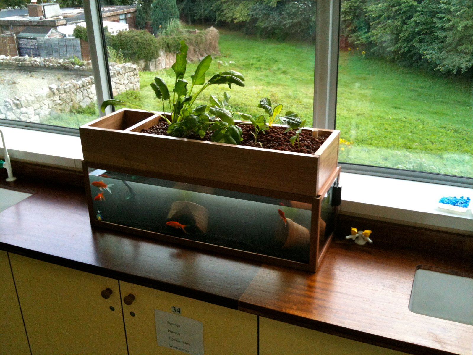 Aquaponics – EcoWatch Canada