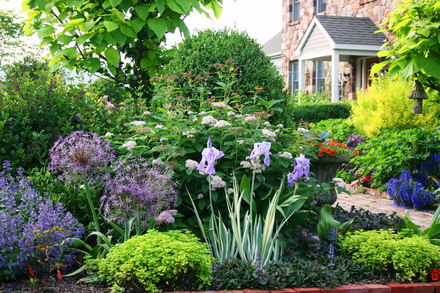 photo of the week | a lush front yard garden | garden variety