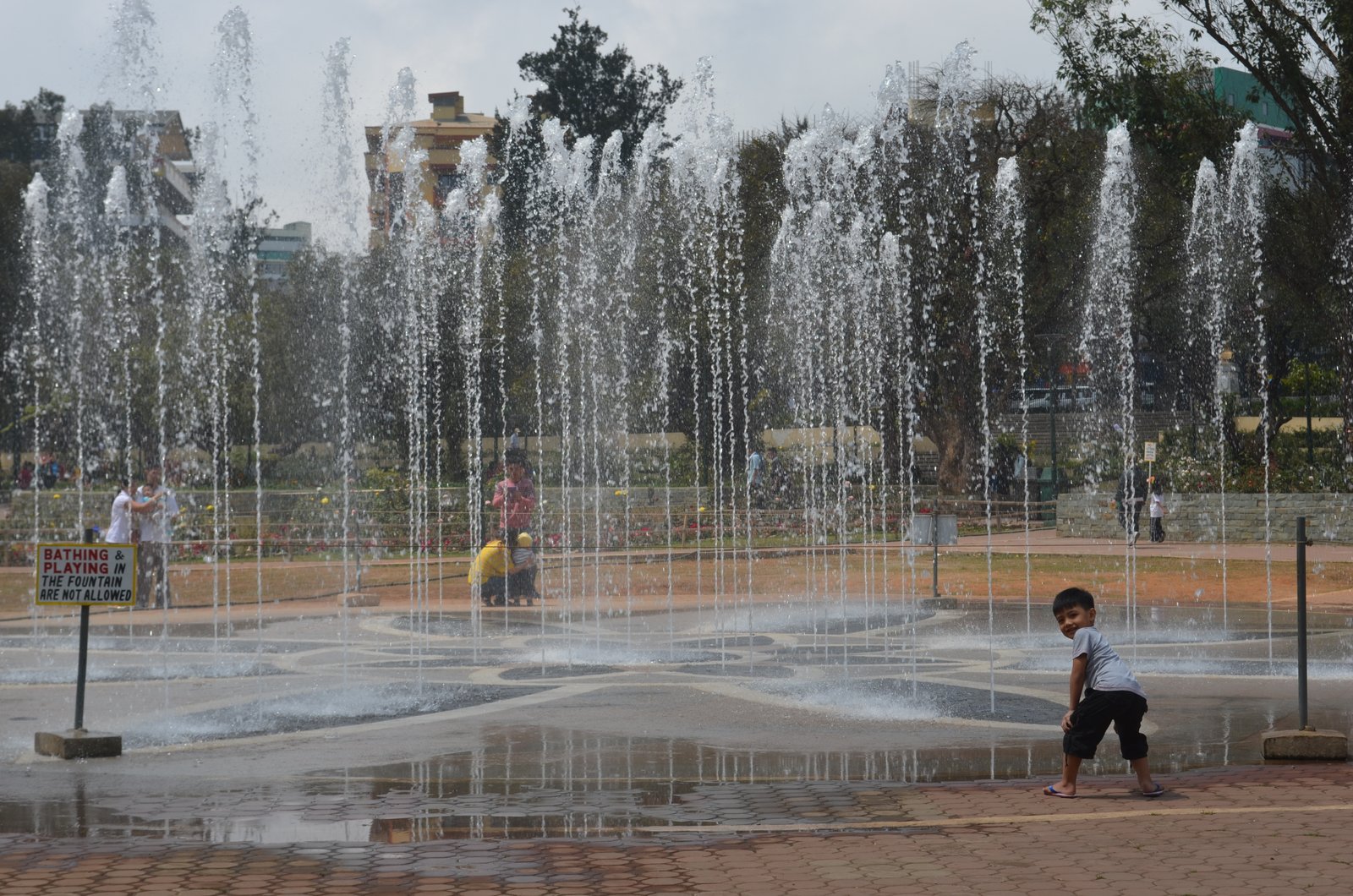 the rose garden: a budding tourist attraction in baguio | mjurgeanne