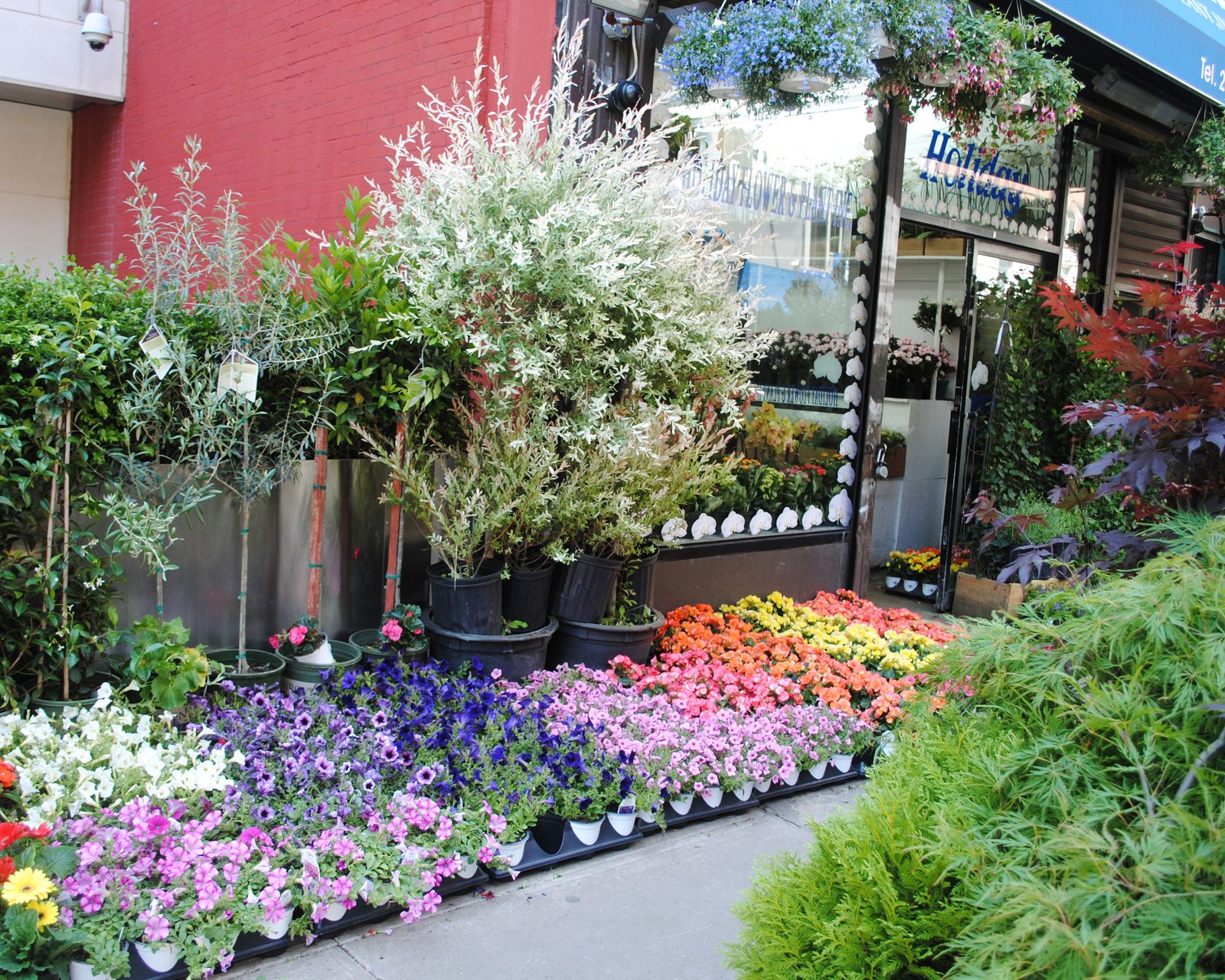 new york's historic flower district – blooming thoughts