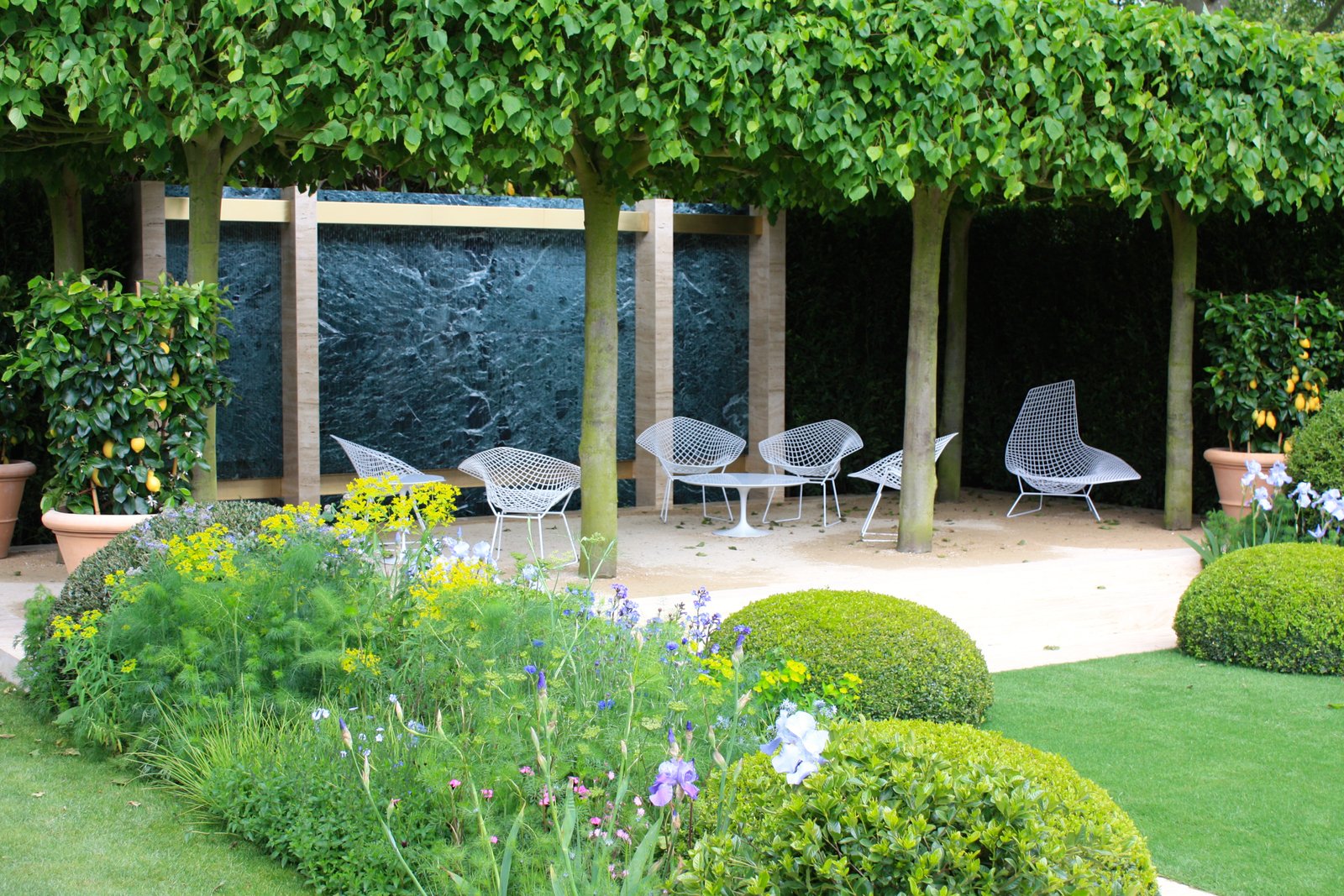 chelsea flower show 2014 – stars of the show: the telegraph garden