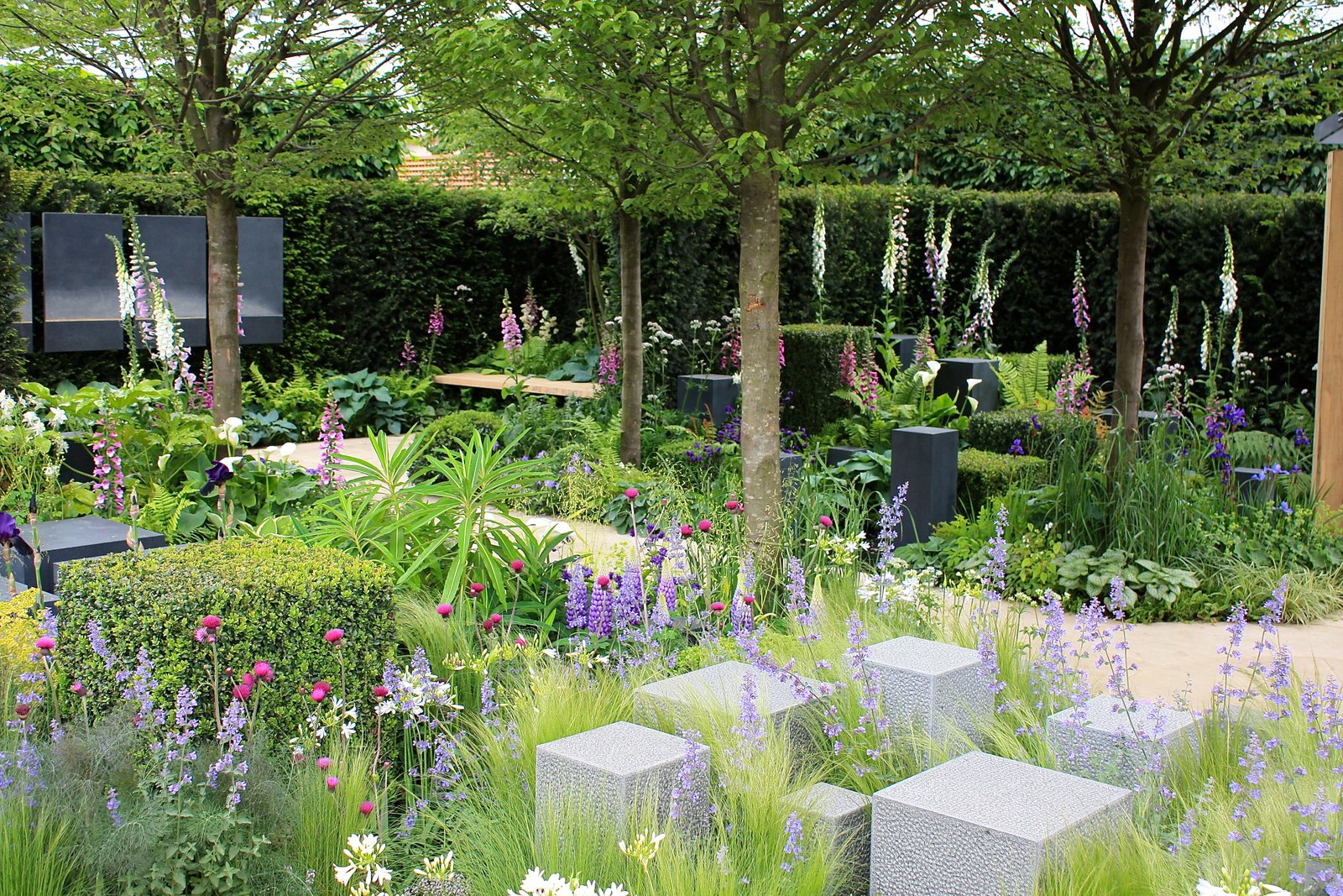 chelsea flower show 2014 – people's choice award: hope on the