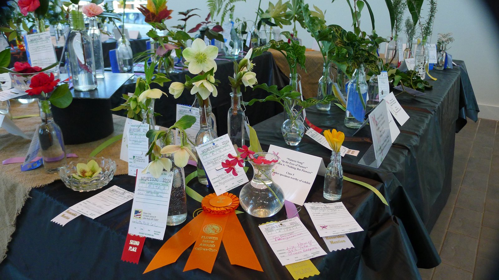 juried flower show | argardenshow