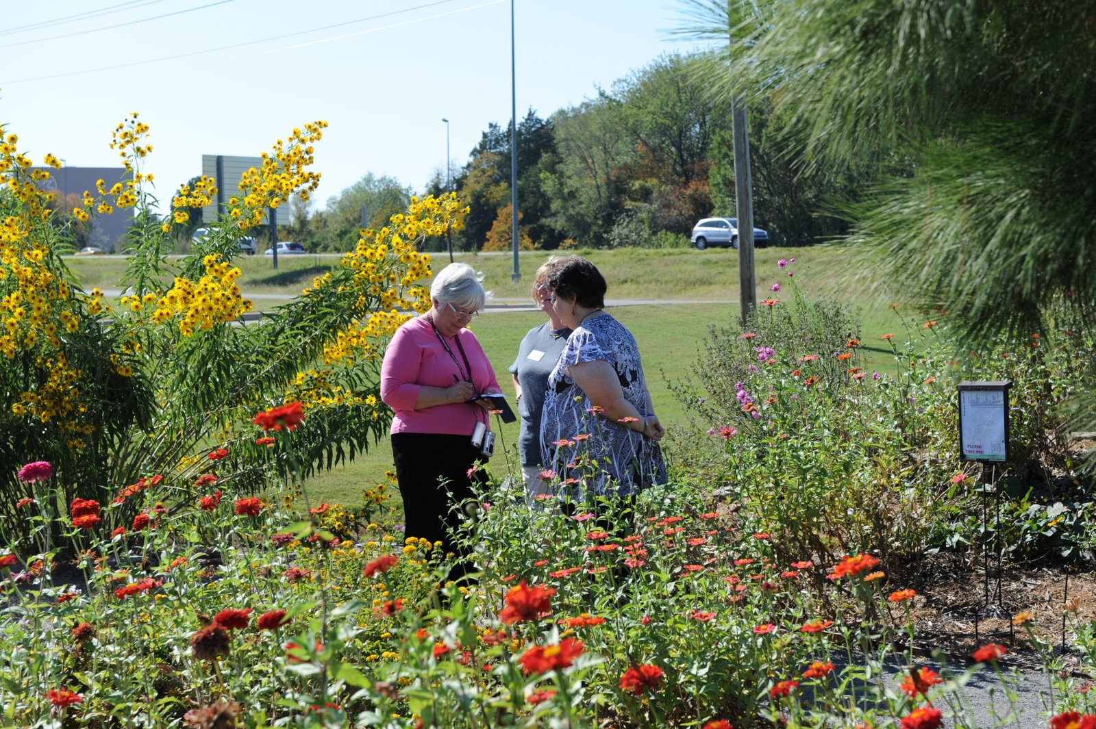 greening of arkansas grant program | argardenshow
