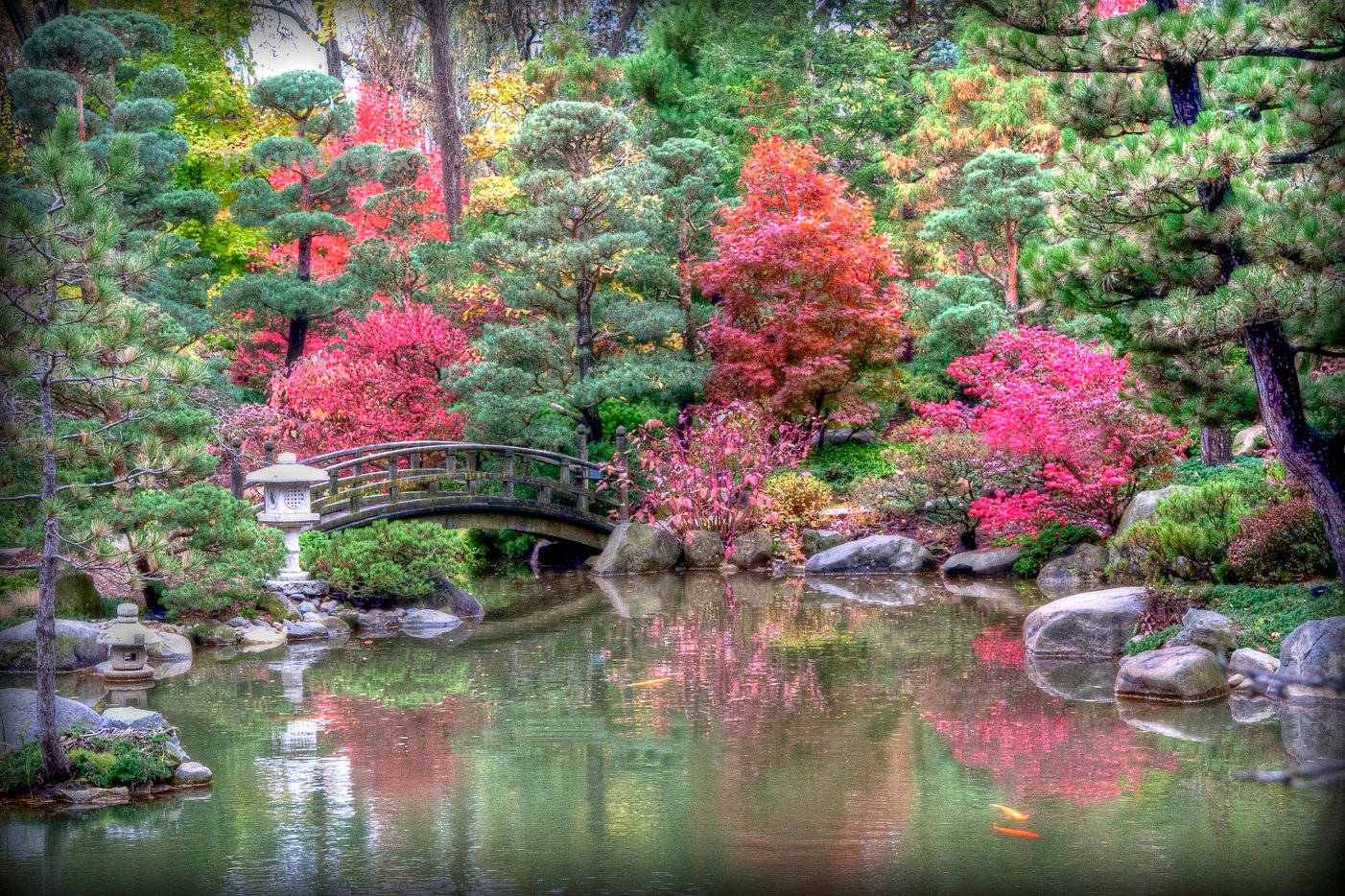 japanese botanical garden | freezeframefoto