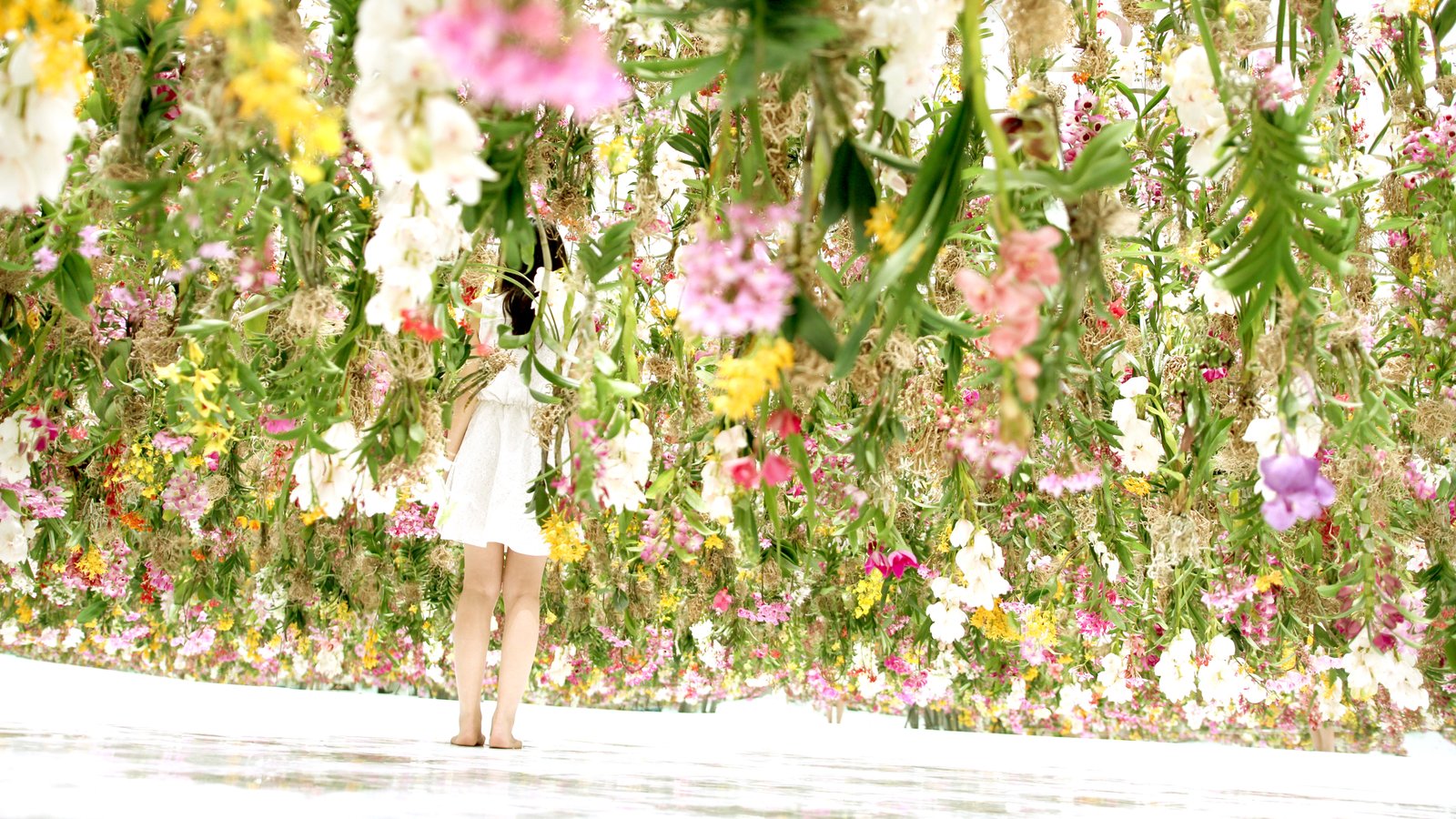 teamlab. the first floating garden that feels you – maverick cult