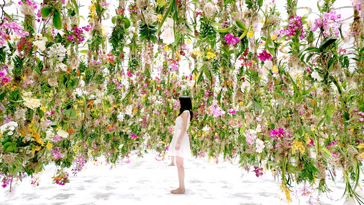 the floating garden in japan where flowers move skyward as you